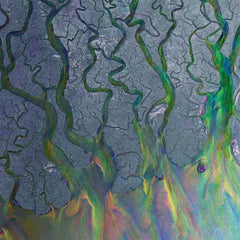 Collection image for: Alt-J