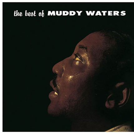 Muddy Waters - Best Of (LP)