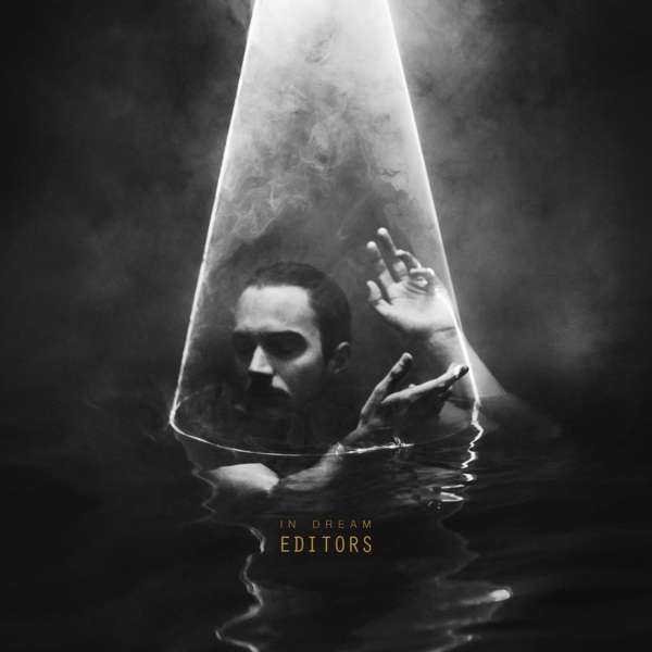 Editors - In Dream (LP)