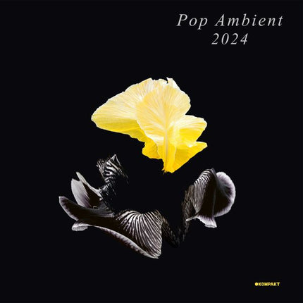 V/A - Pop Ambient 2024 (LP)