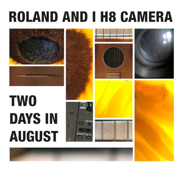 Roland And I H8 Camera - Two Days In August (LP)