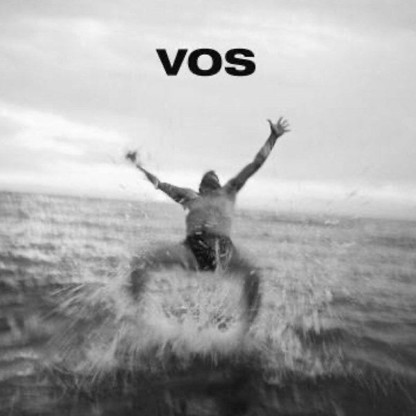 V/A - Vos (2LP)