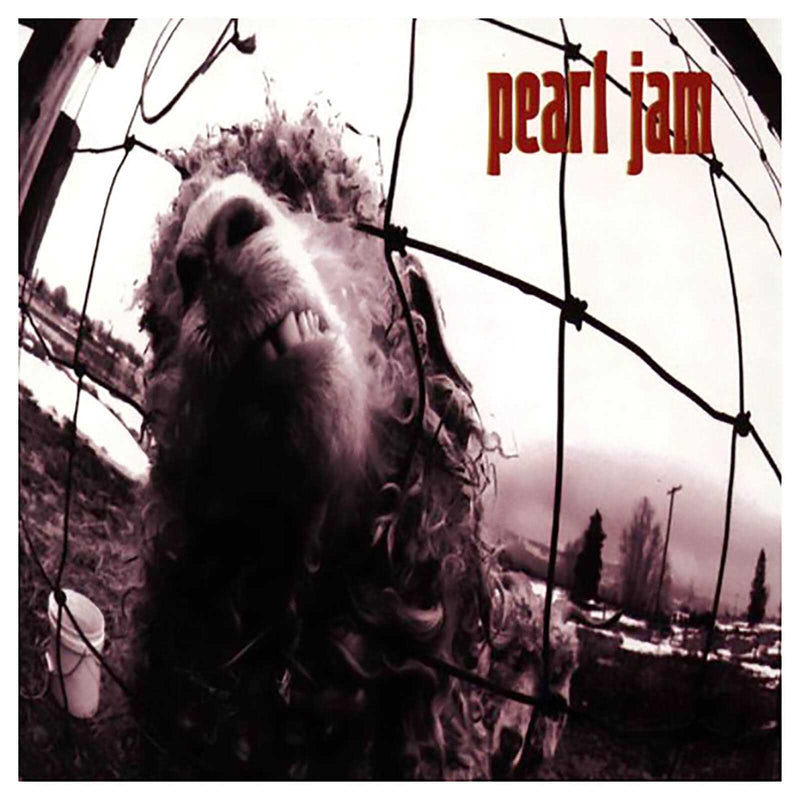 Pearl Jam -Vs (new)