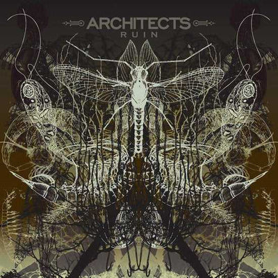 Architects -  Ruin (new)