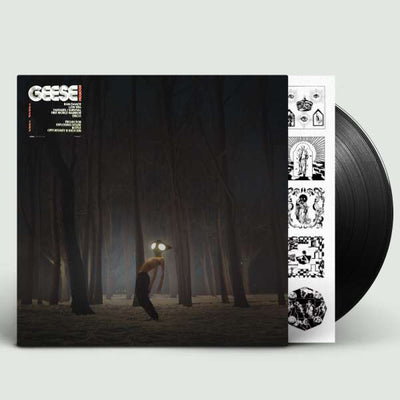 Geese - Projector (new)